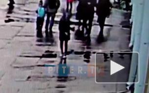 Видео: неизвестная покормила голубей в Петербурге, после чего те упали замертво