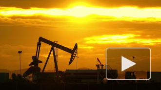 Предсказаны последствия замены Белоруссией российской нефти