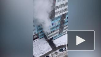 В пожаре на Арцеуловской аллее погиб мужчина