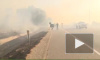 Трогательное видео из Калифорнии: Конь вернулся в огонь, чтобы спасти лошадь и жеребенка