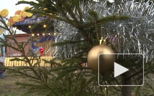 Петербург отмечает Рождество в Петропавловской крепости