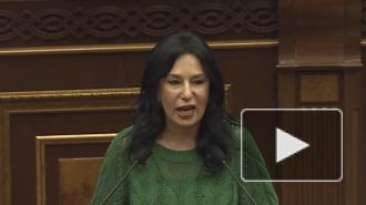 Армянская оппозиция призвала отправить в отставку Пашиняна