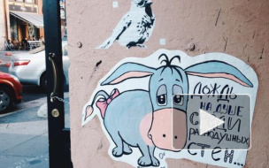 Послания петербуржцев со стен: о чем пытаются сказать местные философы