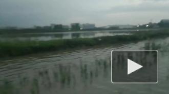 На Дизельном проезде ухудшилась ситуация с подтоплением