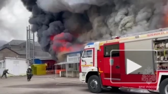 В Воронеже загорелся рынок