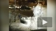 Видео: дотла сгорел Opel на Новоизмайловском проспекте