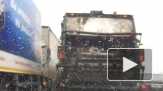 В Московской области шоссе засыпало мандаринами из опрокинувшегося грузовика