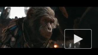 Вышел финальный трейлер фильма "Планета обезьян: Новое царство"