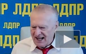 Жириновский раскритиковал продажу туров в Турцию