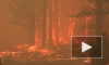 На западе США бушуют десятки лесных пожаров