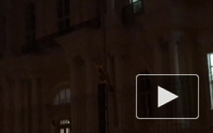 Видео: недалеко от "Беговой" заметили сову