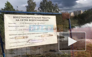 В Кудрово экскаватор задел трубопровод: поврежденная конструкция запустила "гейзер"