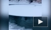 Загадочные ледяные круги засняли на реке под Тюменью
