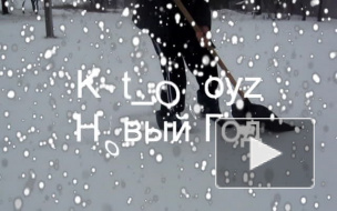 Kot_Oboyz