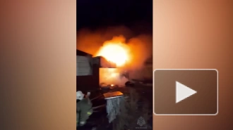 В Курской области самодельный обогреватель для кошек спровоцировал пожар