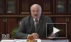 Лукашенко поручил использовать российские порты для белорусского экспорта