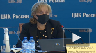 Памфилова объяснила, как будет проходить голосование на дому
