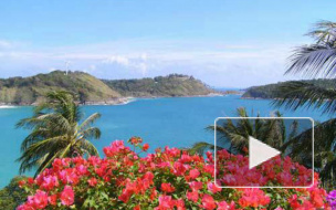 Еще один туроператор - "ИнтАэр" приостановил свою деятельность