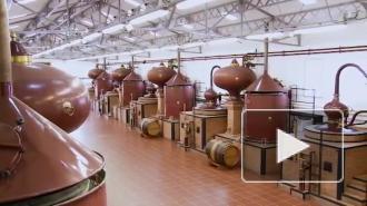 В России возобновят производство коньяка 40-летней выдержки