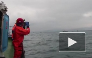 Спасатели второй день ищут пропавшего рыбака в районе Кронштадта