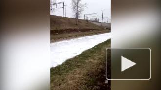 В Росприроднадзоре рассказали об итогах осмотра реки Волковки с пеной