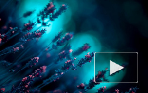 Как бороться с осенней депрессией: 5 способов избавиться от хандры