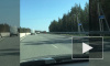 Петербургские водители: на Приозерском шоссе разгуливает табун лошадей
