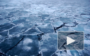 На Васильевском острове провалившихся под лед девочек спасли прохожие