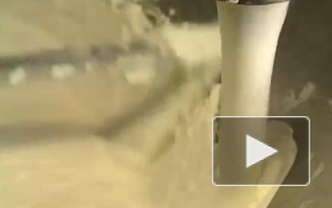 Ни один плавленый сыр не получил знака качества от экспертов