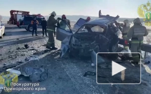 В Приморском крае две иномарки столкнулись на трассе, есть погибшие