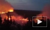 Площадь пожаров в Челябинской области выросла до 14 тыс. га