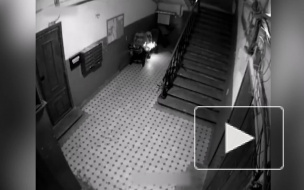 В Петербурге задержали поджигателя колясок в парадной на Моховой