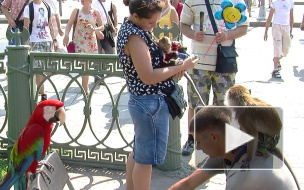 Нелегальный фотограф пытался запретить съемку репортеру