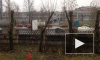 Колонна фур заблокировала полосу Московского шоссе: водители протестуют против платы за проезд