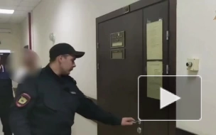 Уголовное дело о даче взятки сотруднику ДПС возбуждено в Петербурге