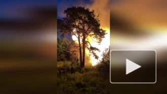 Видео: в Сестрорецке ночью горел двухэтажный дом