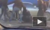 Задиристое видео из Якутска: несколько парней устроили массовую драку 