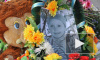 В Брянске судят «кисочку», сбившую насмерть ребенка на переходе и покалечившую мать
