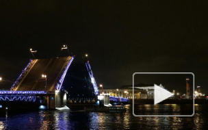 Новогодние украшения перегородили тротуар на Дворцовом мосту