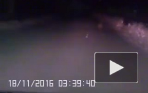 Видео: спортивная лиса пробежалась по улицам города в Челябинской области