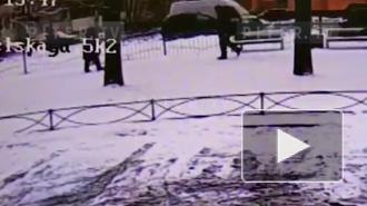 Неизвестный ограбил бабушку на Учительской улице в Петербурге