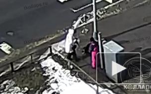 Появилось видео того, как светофор в Петербурге убил собаку током