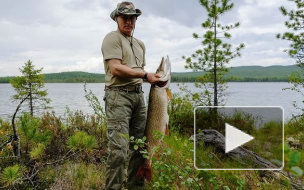 Путин накормил Медведева котлетами из пойманной щуки