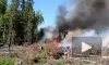 В Югорске ликвидировали лесной пожар