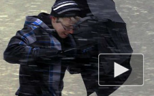 В Петербурге ожидается сильный шквал