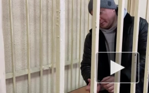 Директора работавшего в гимназии в Брянске ЧОПа арестовали на два месяца