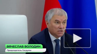 Володин: ответственность за убийство мирных жителей Донецка лежит лично на Зеленском