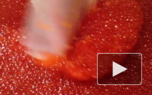 ЗакС Петербурга купит икры и других деликатесов на 800 тысяч