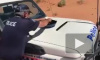 Вирусное видео: в Австралии полицейский зажарил яйцо на капоте машины