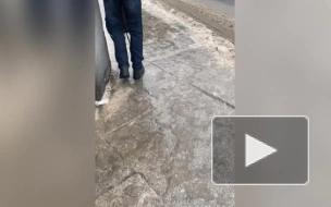 Ледяной дождь превратил улицы Петербурга в каток